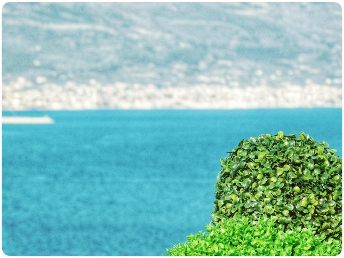 Littlevenice Appartme 50M From Sea Trogir Dış mekan fotoğraf